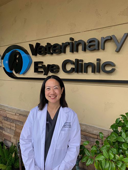 Eye sales clinic veterinary